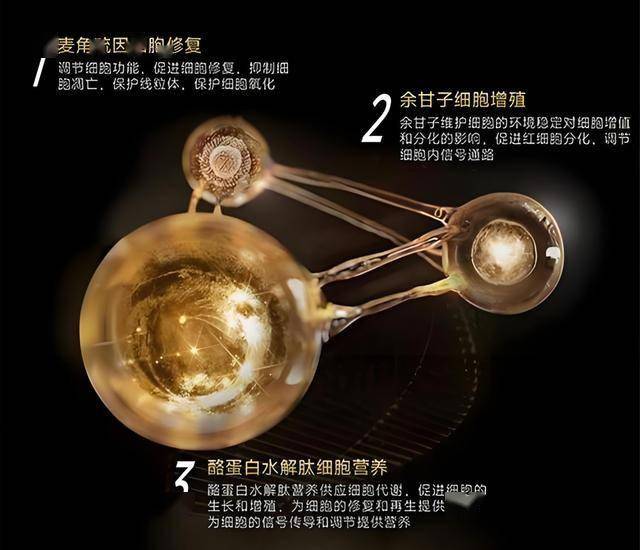 匠心筑路 “智”造将来